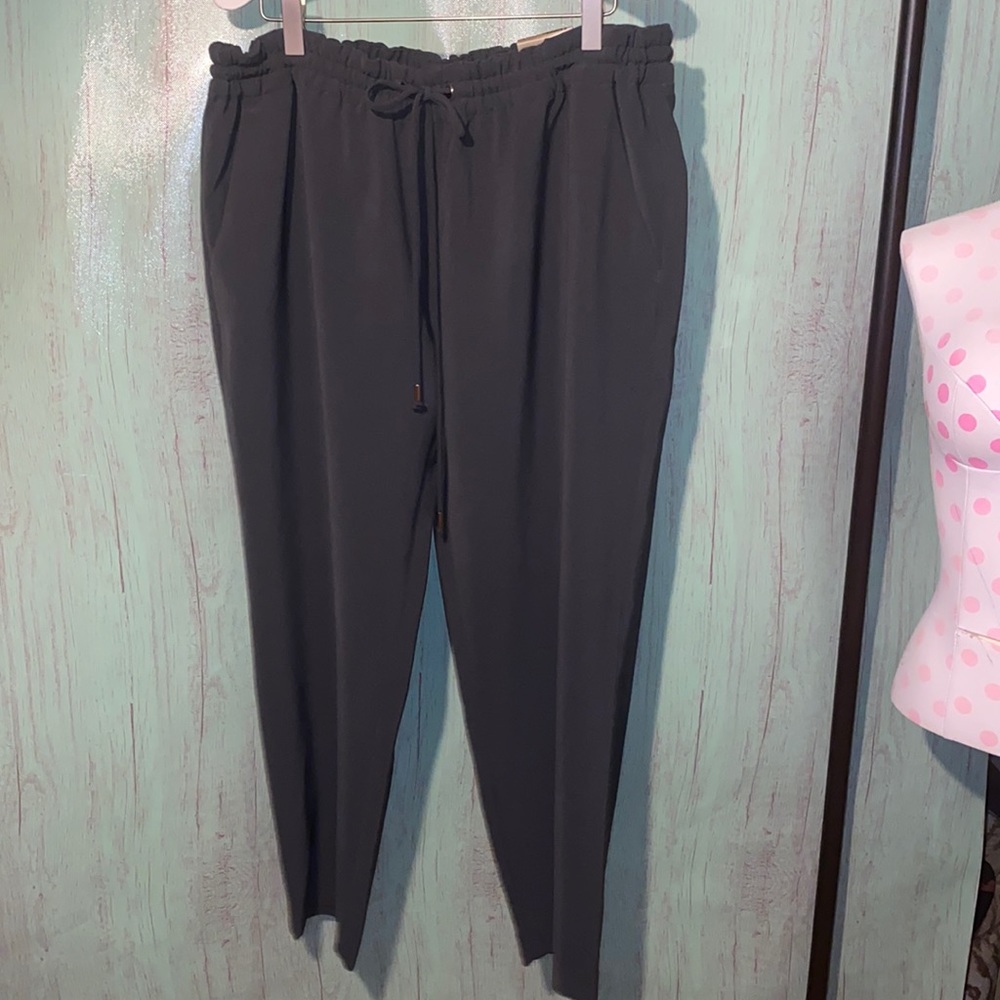Express gray drawstring pants size large NWT